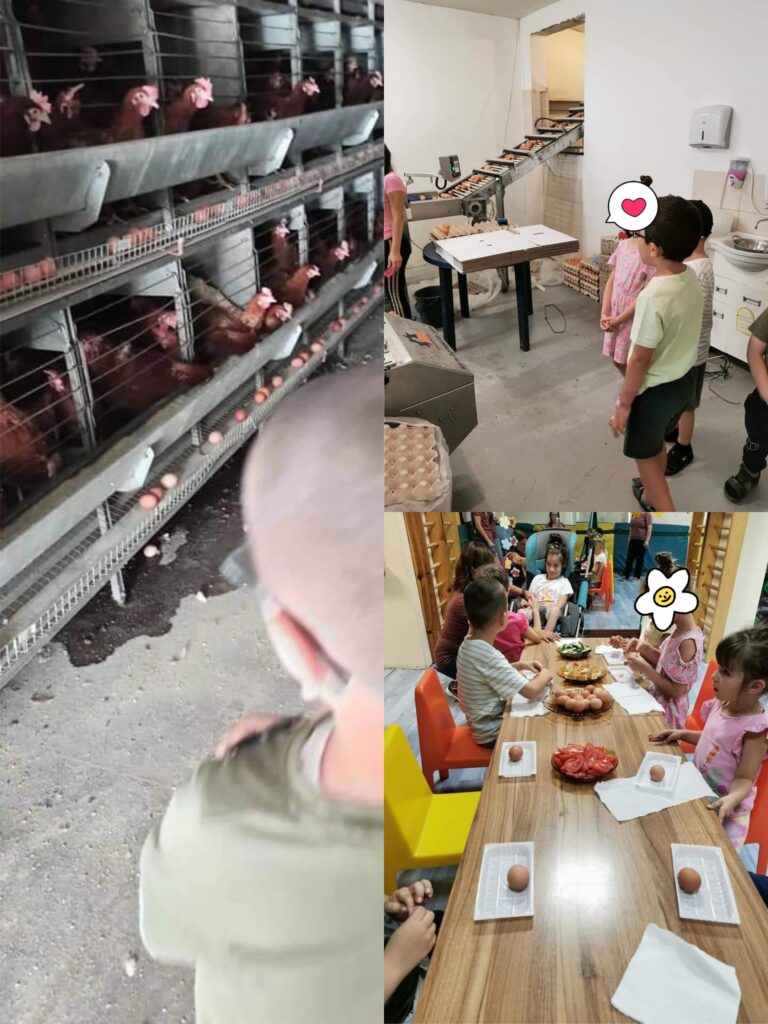 От кокошката до яйцето